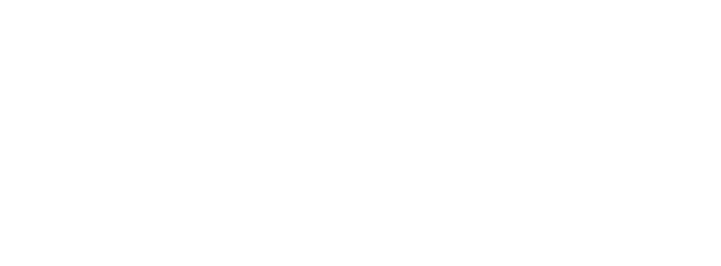 LSLi Logo Primary White